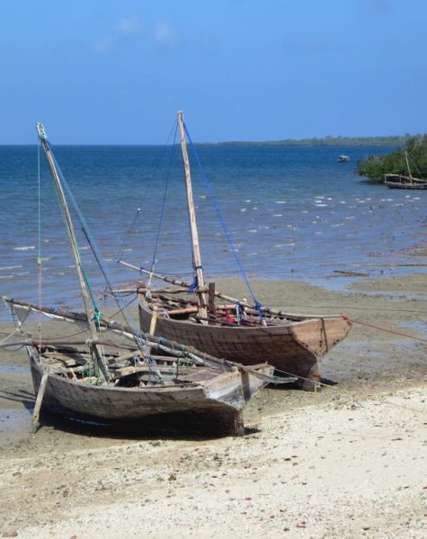 In the 14th and 15th centuries Kilwa Kisiwani in present Tanzania was the seat of the most powerful Swahili city state on the East African coast. Today it's a quiet fishing village (the name means "isle of the fish").