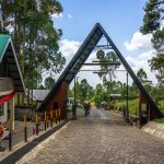 Machame 7 Days Trek
