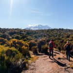 Rongai 7 Days Trek